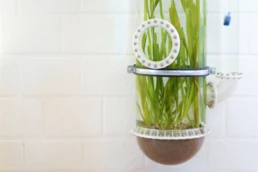 Erster Prototyp des Water Garden Tube Line mit Valisneria Gigantea